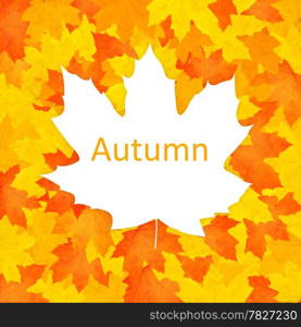 Autumn background.