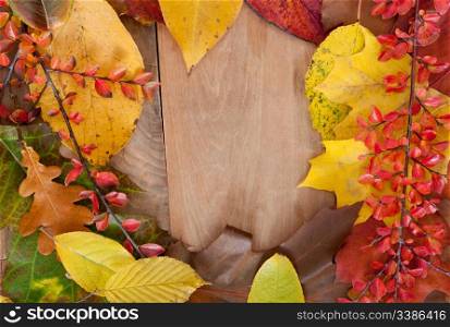 Autumn Background - Color Autumn Leafs on Wooden Background