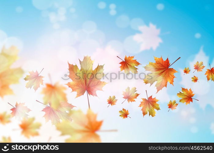 Autumn background. Conceptual image with colorful leaves flying in air