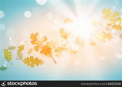 Autumn background. Conceptual image with colorful leaves flying in air