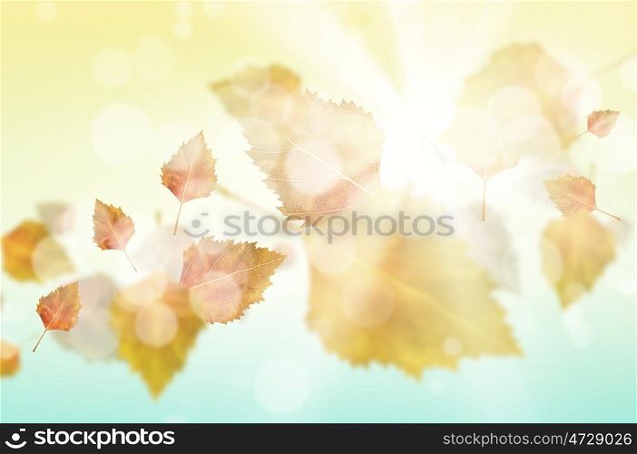 Autumn background. Conceptual image with colorful leaves flying in air