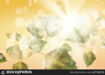 Autumn background. Conceptual image with colorful leaves flying in air