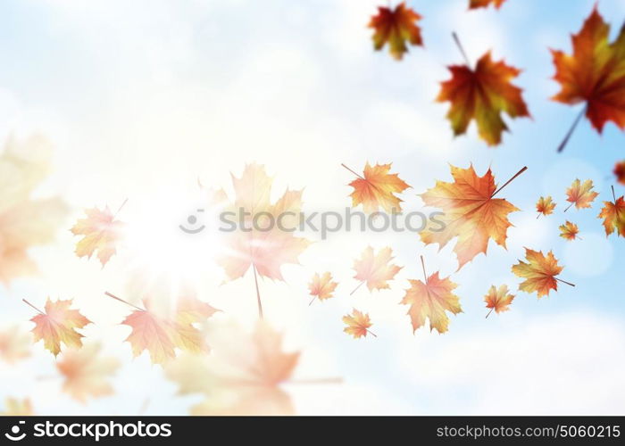 Autumn background. Conceptual image with colorful leaves flying in air