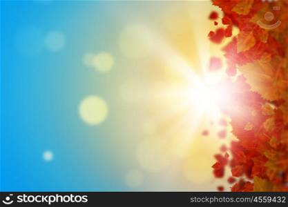 Autumn background. Conceptual image with colorful leaves on white background. Place for text