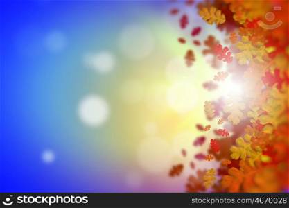 Autumn background. Conceptual image with colorful leaves on white background. Place for text