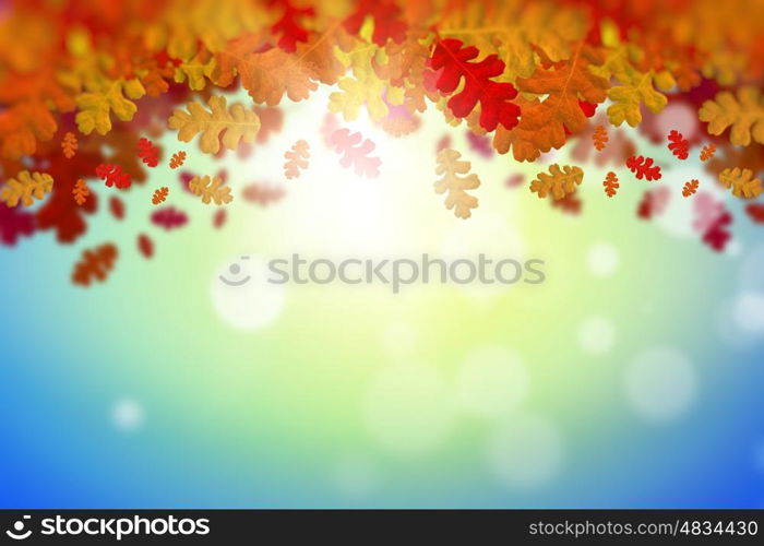 Autumn background. Conceptual image with colorful leaves on white background. Place for text