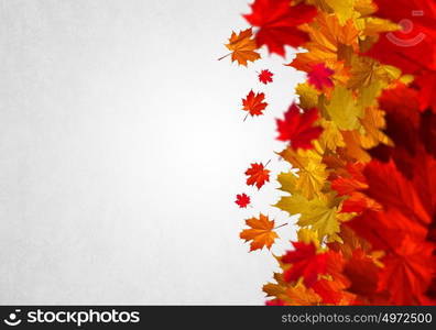 Autumn background. Conceptual image with colorful leaves on white background. Place for text