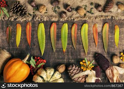 Autumn background - fallen leaves and healthy food on old wooden table. Thanksgiving day concept. Autumn background - fallen leaves and healthy food on old wooden table