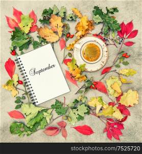 Autumn background flat lay. Notebook and cup of coffee. September. Vintage style toned picture