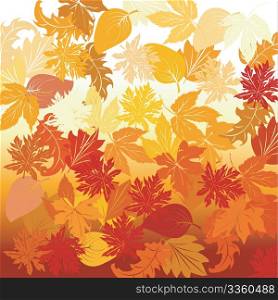 Autumn background illustration, vector art