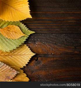 Autumn background. Leaves border on dark wood. Autumn background