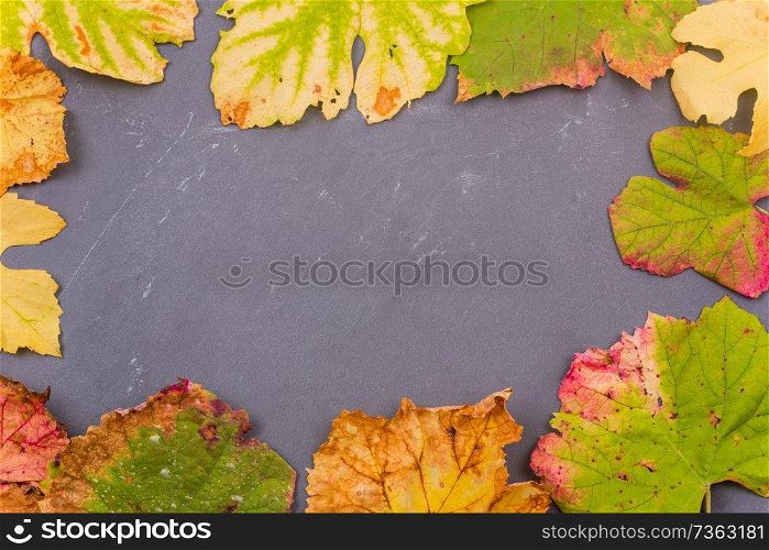 Autumn background leaves on dark background