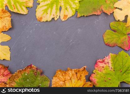 Autumn background leaves on dark background