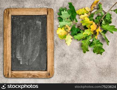 Autumn background. Oak leaves with vintage chalkboard. Retro style toned picture