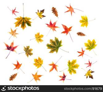 Autumn Background of Leaves, Berries, Flowers and Pumpkins of Orange, Yellow and Red Colors on the Wooden Background