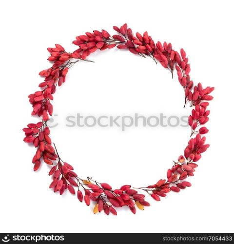 Autumn Background of of Red Berries Wreath on the White Background. Autumn Concept
