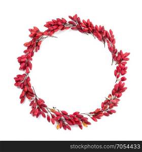 Autumn Background of of Red Berries Wreath on the White Background. Autumn Concept