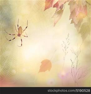 Autumn background with a spider and leaves. Autumn background with a spider