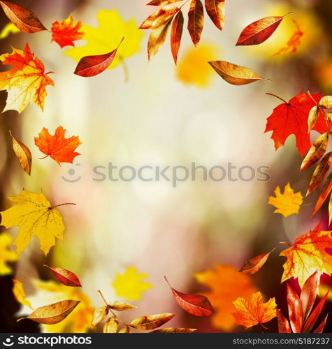 Autumn background with Beautiful falling leaves and bokeh, fall nature in garden or park, frame