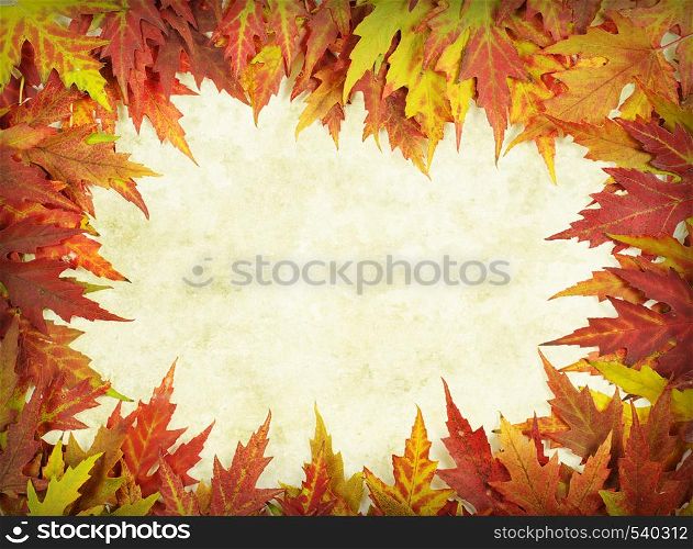 autumn background with colored leaves