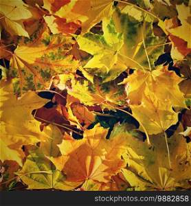 Autumn background with colored leaves on wooden board. Flat lay, top view, copy space.