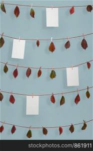 Autumn background with colorful fallen leaves hanging on strings and empty white papers, with wooden clips, on blue wall. Fall frame with copy space.
