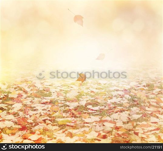 Autumn Background with Colorful Leaves
