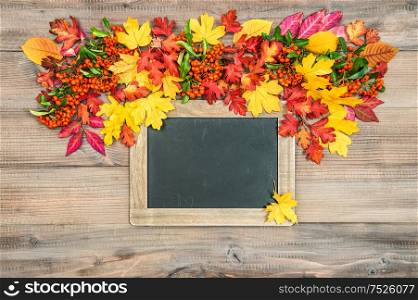 Autumn background with colorful leaves, berries and blackboard for your text. Wooden texture