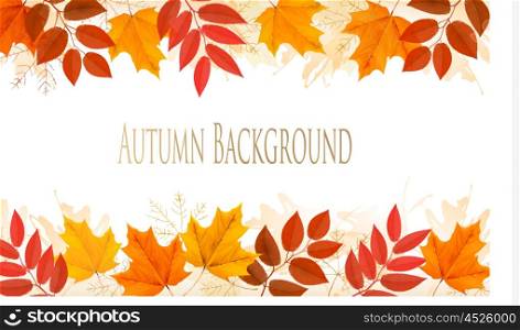 Autumn Background With Colorful Leaves. Vector