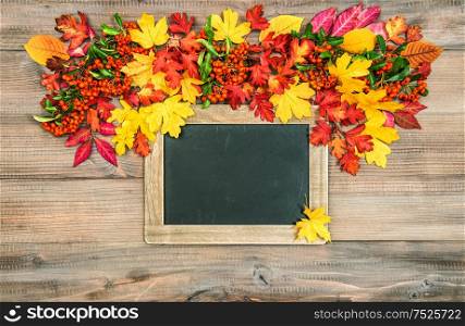 Autumn background with colorful leaves. Wooden texture. Vibrant colors