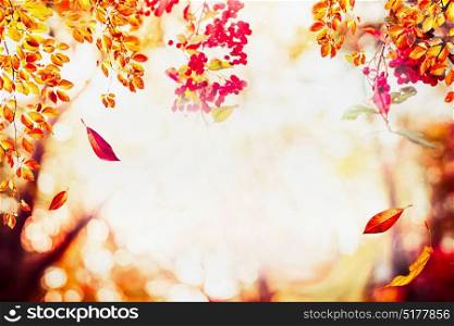 Autumn background with falling leaves at landscape trees at sunlight with bokeh, frame
