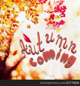 Autumn background with falling leaves at landscape trees at sunlight with text Autumn coming
