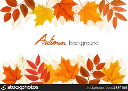 Autumn background with leaves. Vector