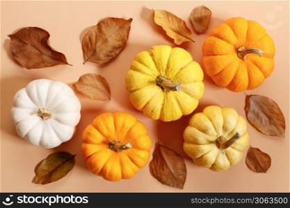 Autumn background with pumpkin and dried leaves on color background, topview.