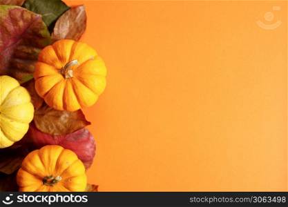 Autumn background with pumpkin, dried leaves and copy space on color background