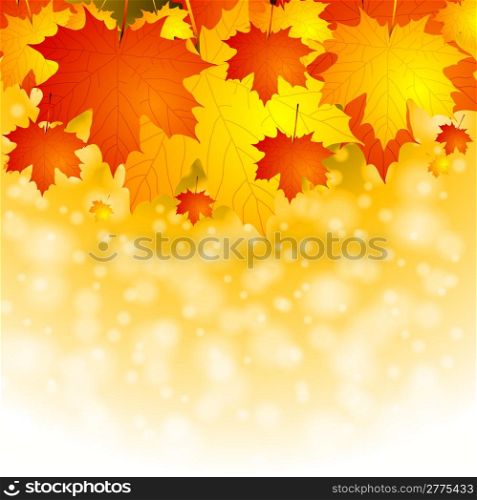 Autumn background with red and yellow leaves. Vector eps 10
