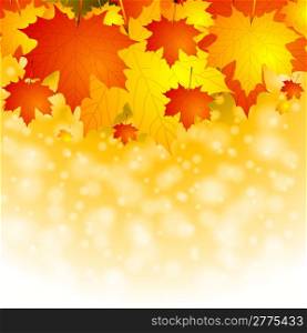 Autumn background with red and yellow leaves. Vector eps 10