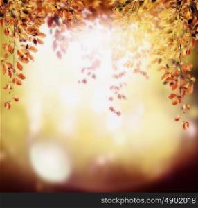 Autumn background with red orange hanging foliage branch on sunset light background with bokeh