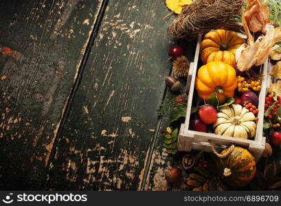 Autumn background with seasonal fruits, vegetables and leaves