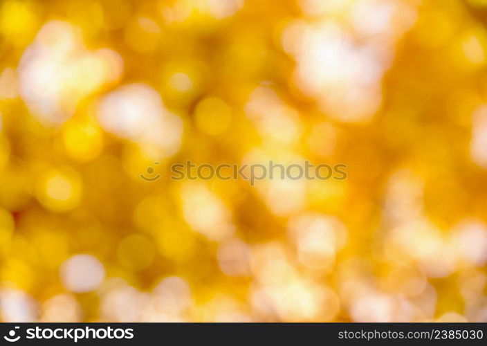 autumn background with sunny rays