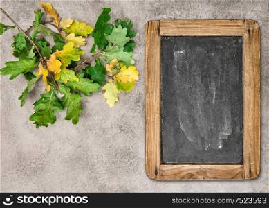 Autumn background with vintage chalkboard and oak leaves on grungy stone texture