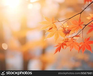 Autumn background with yellow and red leafs. Autumnal background, good for advertising or banners. Autumn background with yellow and red leafs. Autumnal background, good for advertising or banners.