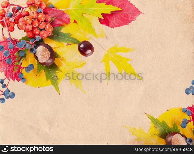 Autumn background with yellow and red leaves, rowan berries and chestnuts. Falling leaves on vintage paper background.