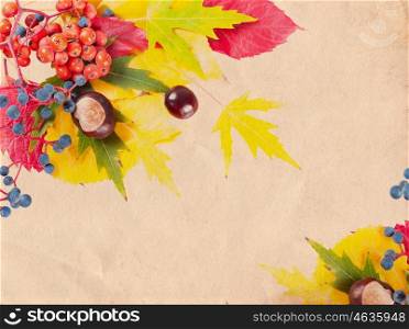 Autumn background with yellow and red leaves, rowan berries and chestnuts. Falling leaves on vintage paper background.