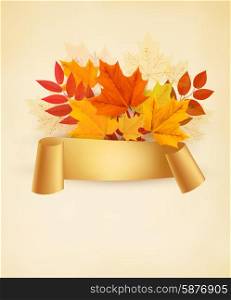 Autumn banner background with colorful leaves. Vector.