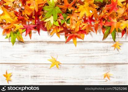 Autumn banner. Colorful leaves on bright wooden background