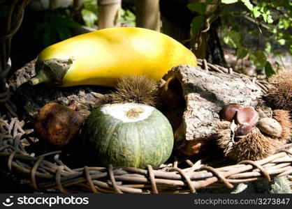 Autumn basket