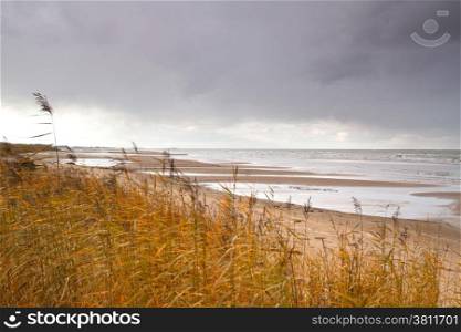 autumn beach of the Baltic Sea