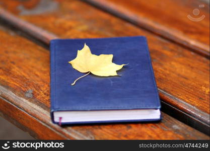 autumn book on the wood bench