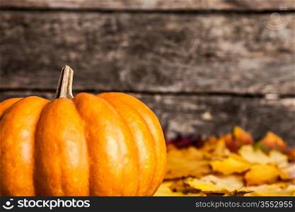 Autumn border from big pumpkin and yellow leaves on wooden background. Shallow depth of fields